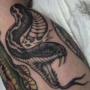 Snake Head Tattoo by Gianluca Fusco #snake #blackandgrey #blackandgreyart #fineline #blackandgreyartist #GianlucaFusco