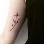 Super delicate flower tattoo by Jen Von Klitzing #linework #blackwork #JenVonKlitzing #flash #botanicaltattoo