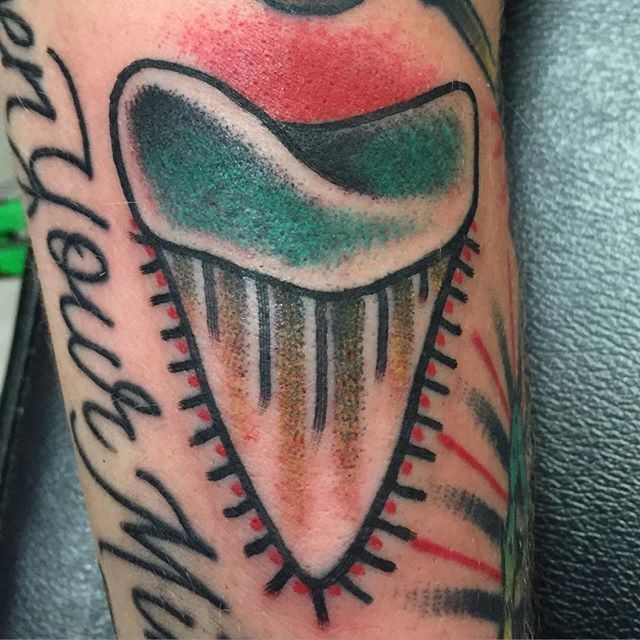 locustbones I got a megalodon tooth today  Shark tooth tattoo Tooth  tattoo Sleeve tattoos