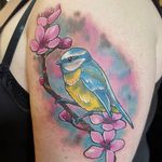 Neo traditional blue tit bird tattoo by Lee Banks. #neotraditional #bird #bluetit #bluetitbird #LeeBanks