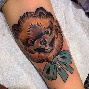A friendly, smiling pomeranian tattoo by Jody Dawber. #dog #pomeranian #neotraditional #JodyDawber #cute