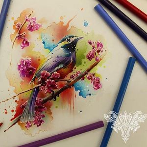 #passaro #bird #aquarela #watercolor #vareta #ilustradorvareta #coloridos #brasil #brazil #portugues #portuguese #desenhos #drawing