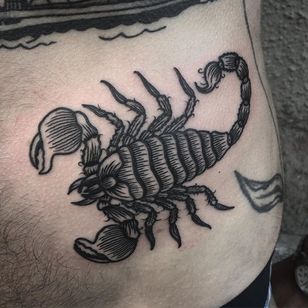 Tatuaje de escorpión por Jack Ankersen #Blackwork #TaditionalBlackwork #BlackTattoos #Illustrative #FedBlackwork #JackAnkersen #btattooing #blckwrk #scorpion