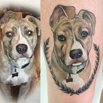 Neo traditional pit bull tattoo by Beth Stanley. #neotraditional #dog #petportrait #pitbull #BethStanley