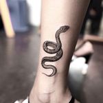 Don't tread on me.  (Via Instagram ilwolhongdam) #hongdam #tinytattoo #perfectplacement #snake #details #realism #serpent #blackink