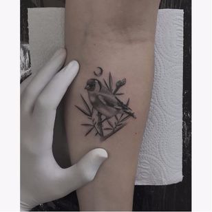 Tatuaje de pájaro en miniatura de Fillipe Pacheco #FillipePacheco #miniature #black grey #monochrome #realistic #bird
