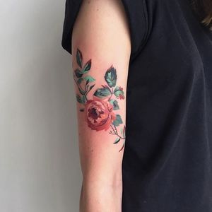 Rose by Amanda Wachob (via IG-amandawachob) #rose #flowers #floral #watercolor #color #illustrative #AmandaWachob