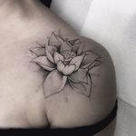Mais uma bela flor #DenerSilva #tatuadoresdobrasil #brasil #brazil #brazilianartist #sketch #sketchstyle #blackwork #flor #flower #botanica #botanical #estilorascunho