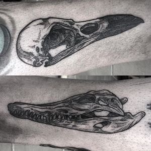 Bird skull tattoo by David Poe. #DavidPoe #blackwork #dotwork #crocodile #bird #skull #birdskull
