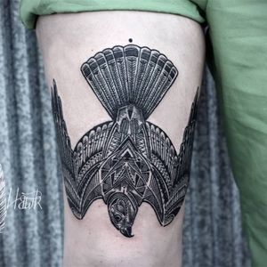 Hawk tattoo by David Hale #DavidHale #hawk #bird #blackwork