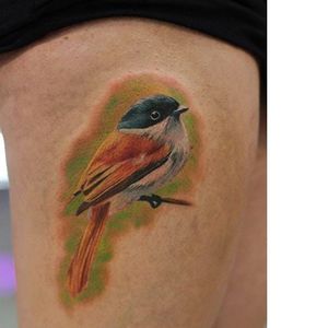 Bird tattoo by Angélique Grimm #bird #AngeliqueGrimm #realistic #color #realism