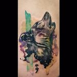 Feita por Nancy Tattooer #NancyTattooer #wolf #wolftattoo #watercolor #aquarela #lobo