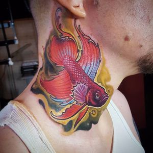 Por Matt Driscoll #MattDriscoll #peixebeta #bettafish #fish #peixe #fishtattoo #colorido #colorful