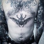Bug Tattoo by Andy Ma #blackwork #blackworktattoo #blackworktattoos #contemporary #contemporaryblackwork #moderntattoo #blackink #blackinktattoo #blackworkartist #AndyMa