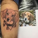 Dotwork beagle portrait tattoo by Emma Von B. #dotwork #portrait #dog #beagle #EmmaVonB
