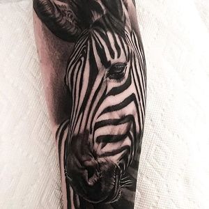 Photo realistic zebra by Tye Harris. #realism #blackandgrey #photorealistic #zebra #TyeHarris
