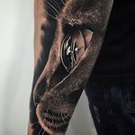 Cat Tattoo by Samuel Rico #cat #cattattoo #blackandgrey #blackandgreyrealism #realism #animaltattoo #realisticanimal #realismanimaltattoo #blackandgreyanimal #SamuelRico