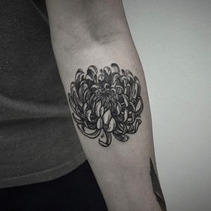 Flower tattoo by Taras Shtanko #TarasShtanko #dotwork #nature #flower #chrysanthemum