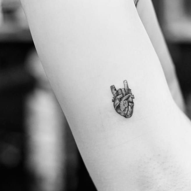 11 Abstract Anatomical Heart Tattoo Ideas That Will Blow Your Mind   alexie