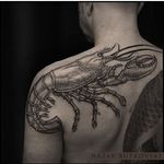 Blackwork lobster tattoo by Nazar Butkovski. #blackwork #linework #illustrative #lobster #NazarButkovski #blckwork #btattooing