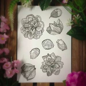 Flower petal drawings by Rose Hendry #RoseHendry #illustration #art #drawing #design #flowers