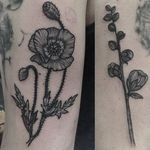 Blackwork poppy tattoo by Klaudia Holda. #dotwork #blackwork #KlaudiaHolda #poppy #botanical #flower