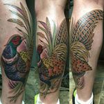 Pheasant Tattoo by Darcy Nutt #pheasant #bird #animal #DarcyNutt