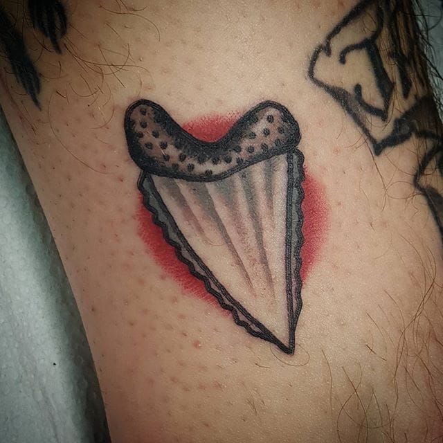 The Gay Penguin Piercing Tattoo - Mike fixed this sad shark tooth for a  client! She loves it now! #tattoo #tattoos #tattooing #tattooartist  #wilmingtontattoo #nc #ink #inked #tattooink #tatted #tattedup #inkedup  #inkedupgirls #