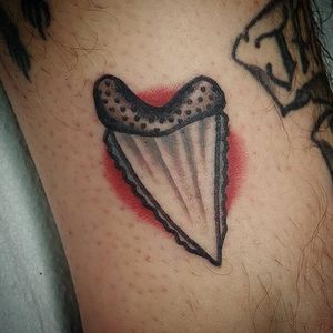 Shark Tooth Tattoo by Callum Laird #sharktooth #shark #filler #gapfiller #CallumLaird