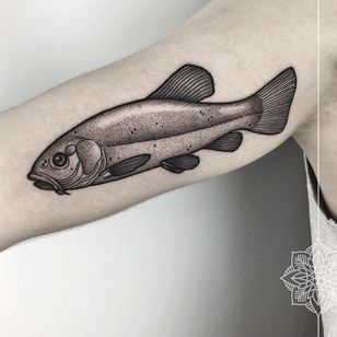 Fish de Sarah Herzdame (a través de IG-herzdame) #geometric #illustrative #dotwork #black grey #ornamental #SarahHerzdame