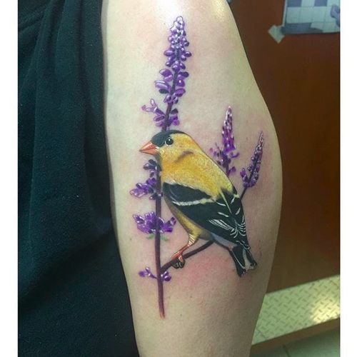 Goldfinch tattoo (via IG -- kmarsh54) #bird #birdtattoo #goldfinch #goldfinchtattoo