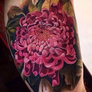Color realism chrysanthemum tattoo by Jean Alvarez. #realism #colorrealism #flower #chrysanthemum #JeanAlvarez