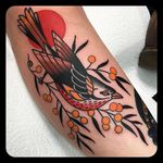 Bird tattoo by Leonie New. #LeonieNew #traditional #bird
