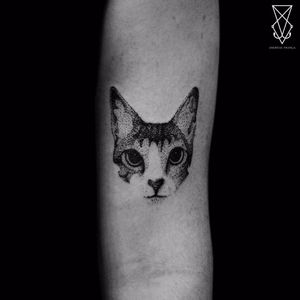 Gatinho por Andreas de França! #AndreasdeFrança #tatuadoresbrasileiros #tattoobr #tatuadoresdobrasil #blackwork #cat #kitty #gato #gatinho