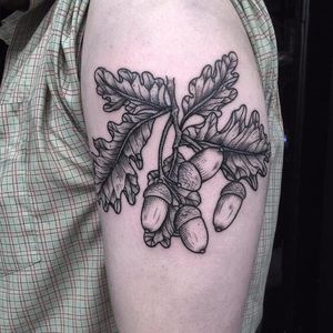 Acorn tattoo by Henbo Henning. #HenboHenning #acorn #nut #fall #oak #blackwork #linework #woodcut #HenboHenning