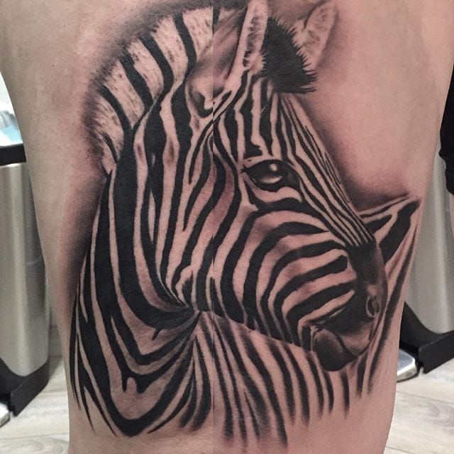 Staat verloving links Tattoo uploaded by Stacie Mayer • Black and grey zebra tattoo by Chris  Youngblood. #zebra #realism #blackandgrey #blackandwhite #ChrisYoungblood •  Tattoodo