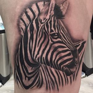 Black and grey zebra tattoo by Chris Youngblood. #zebra #realism #blackandgrey #blackandwhite #ChrisYoungblood