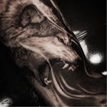 Wolf tattoo by JeongHwi #JeongHwi #blackandgrey #realistic #wolf