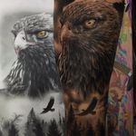 Legacy of an Eagle by Fred Tattoo #FredTattoo #realism #realistic #hyperrealism #blackandgrey #redink #whiteink #eagle #baldeagle #bird #feathers #sky #forest #landscape #trees #nature #tattoooftheday