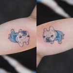 The most adorable micro tattoo of a French Bulldog ever by Sol Tattoo (IG—soltattoo). #adorable #micropuppies #minature #realism #SolTattoo