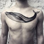 Whale Tattoo by Michele L'Abbate #whale #blackworkwhale #blackwork #blakcworkartist #blackink #darkart #black #MicheleL'Abbate #MicheleLAbbate