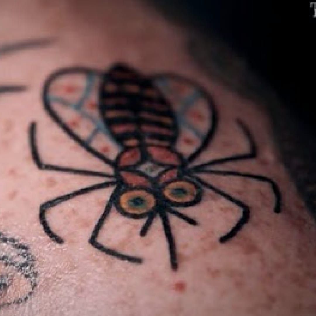 Tattoo uploaded by Ross Howerton • A blood-sucking traditional mosquito by  Deno (IG— denotattoo). #bugs #Deno #mosquito #traditional • Tattoodo