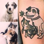 Dog and Cat Tattoo by Jiran @Jiran_Tattoo #JiranTattoo #Pet #PetTattoo #Dog #Cat #Neotraditional #Seoul #Korea