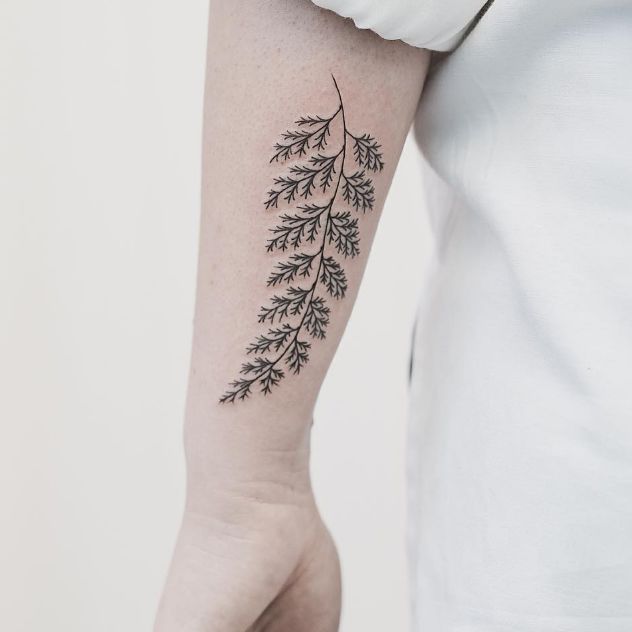 Buy Flower and Fern Temporary Tattoo Online in India  Etsy