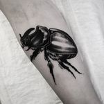 Beetle Tattoo by Vladimir Pride #beetle #bug #blackwork #blackink #blackworkartist #darkart #blackworkartist #VladimirPride