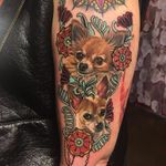 Tiniest cuties by Megan Massacre #MeganMassacre #realism #realistic #hyperrealism #petportrait #color #dog #Chihuahua #papillon #flowers #ornamental #leaves #jewelry #tattoooftheday