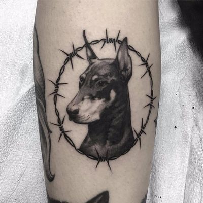 Doberman by Santa Rosa Tattoo #SantaRosaTattoo #blackandgrey #realism #realistic #petportrait #dog #animal #barbedwire #doberman #tattoooftheday