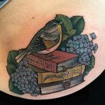 Bird and Books Tattoo by Hannah Flowers #neotraditional #neotraditionaltattoo #neotraditionaltattoos #neotraditionalartist #HannahFlowers