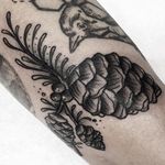 Black and grey pine cones by Cheyenne Gauthier. #traditional #blackandgrey #CheyenneGauthier #botanical #pinecone