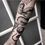 Snake Tattoo by Joel Spiteri #snake #neotraditional #blackwork #blackneotraditional #blackink #blackworkartist #JoelSpiteri